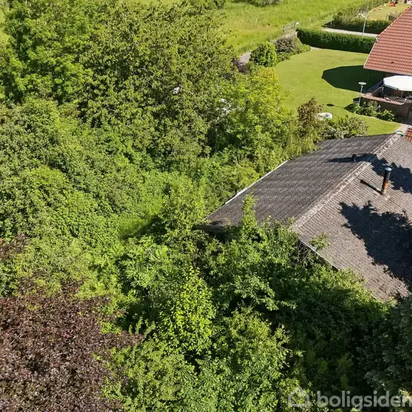 Et hustag omgivet af tæt, grøn vegetation, herunder buske og træer. Bagved ses en have og et rødt hustag i et villakvarter.