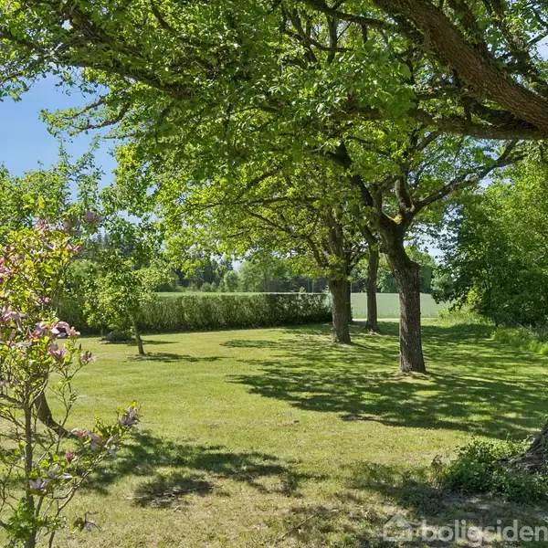 Træer kaster skygger på en solrig græsplæne, omgivet af buske og en blå himmel, hvilket skaber en fredelig haveatmosfære.
