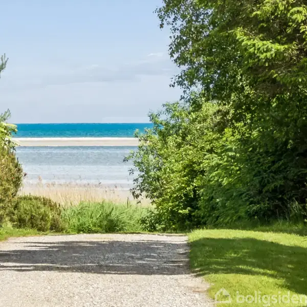 Grussti fører mod en strand med klart blåt hav i baggrunden. Omgivet af frodig, grøn vegetation på begge sider under en blå himmel.