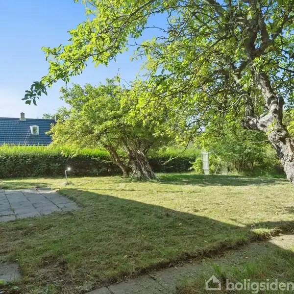 En have med en flisebelagt terrasse foran et hus. Træer kaster skygger på den solbelyste græsplæne. I baggrunden ses en lav hæk og et nabohus.
