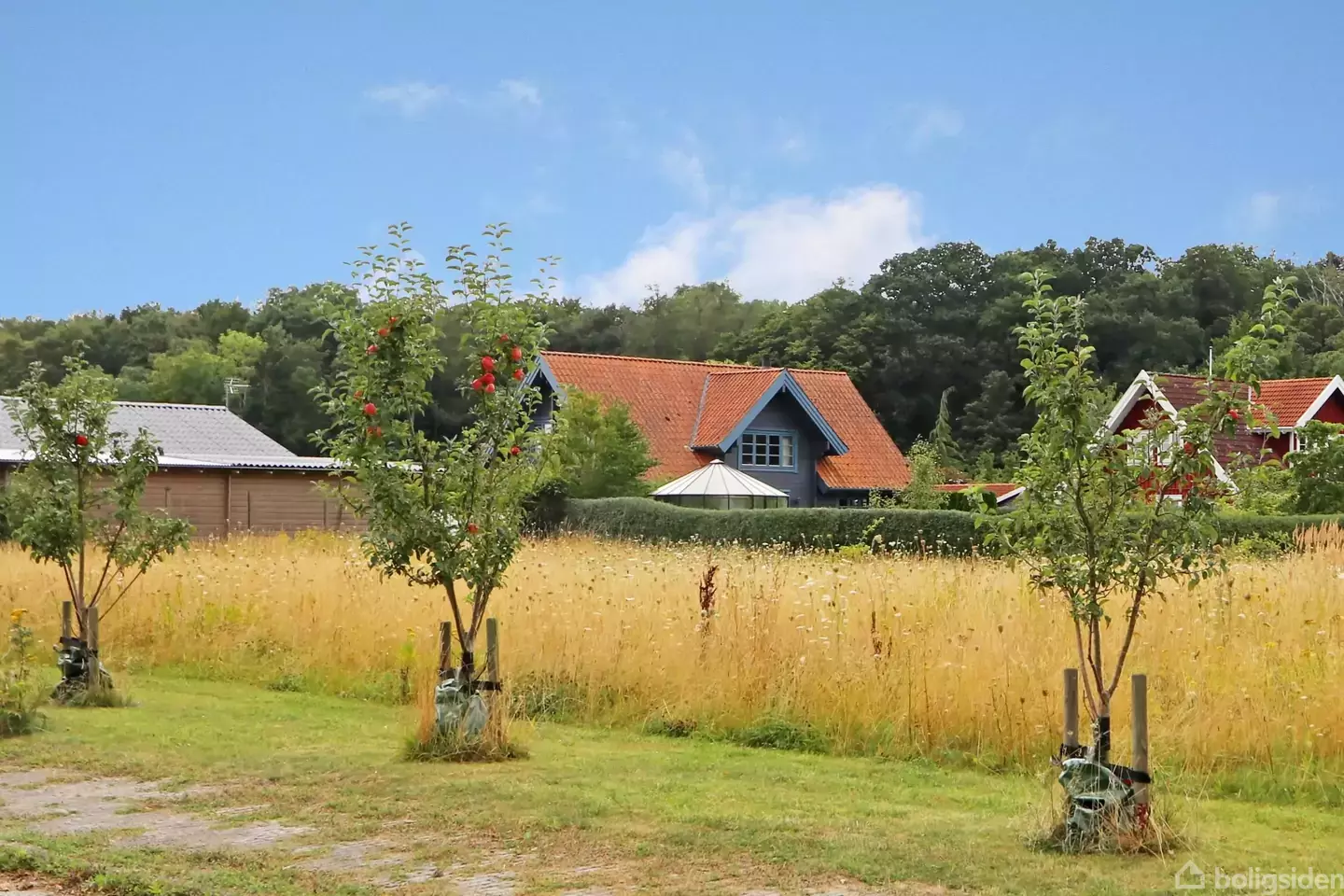 full year plot - Guldborghave 121, 4862 Guldborg - Visning 2