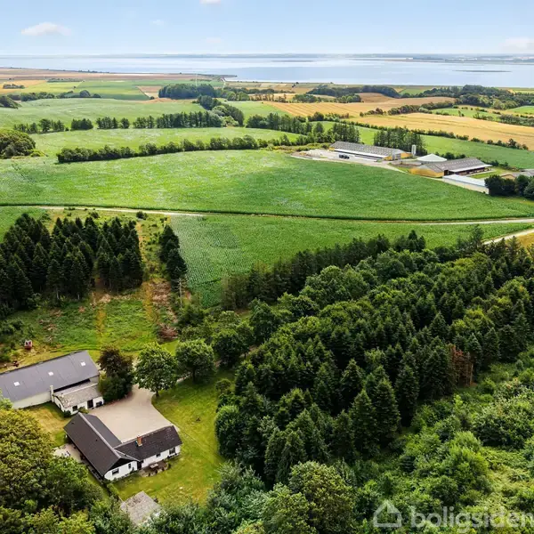 Et hus omgivet af skov og marker. Huset står stille, indlejret i tæt vegetation blandt træer. I baggrunden ses dyrkede marker med en fjord og blå himmel i det fjerne.