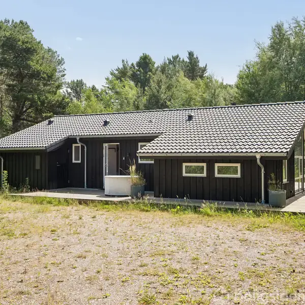 Et sort træhus med gråt tegltag står i en solrig lysning omgivet af skov. Foran huset er en grusplads med spredte grønne planter.