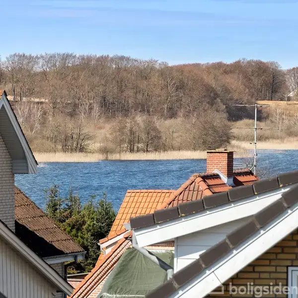 Hustage står stille med en flod i baggrunden. Flodens bred er omgivet af træer uden blade, og himlen er blå.