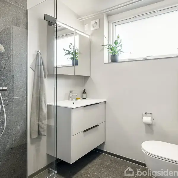 Brusekabine med glasvæg, står ved siden af en hvid håndvask og skab. Et vindue med planter oplyser rummet. Toiletrulle hænger på væggen.