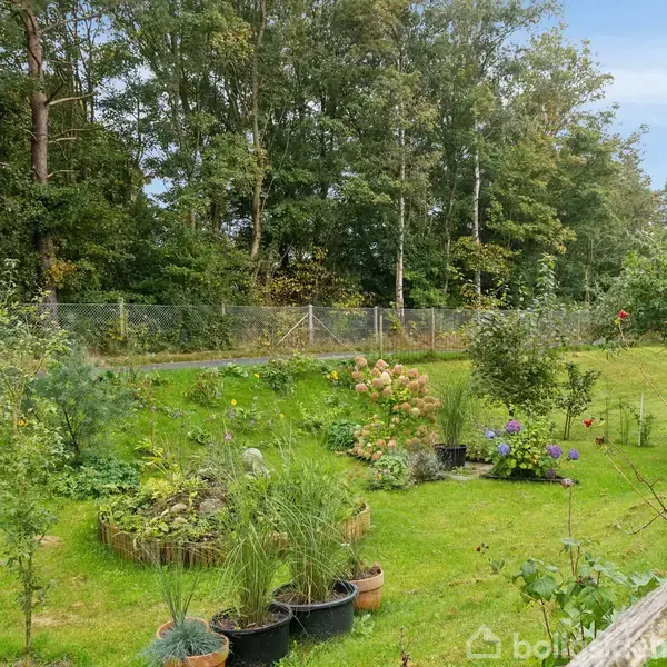 En have fyldt med planter og blomster i potter og bede, står frodig. I baggrunden ses et hegn og en række træer, der danner en tæt grøn skovkant.