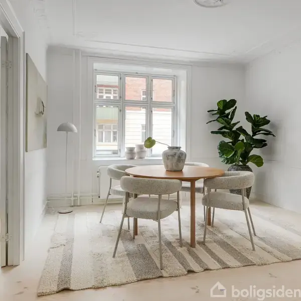 Et rundt spisebord med fire stole er centreret i et lyst rum. En stor grøn plante står ved vinduet, og et tæppe ligger under bordet.