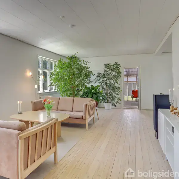 Stue med lyse trægulve, to lyse sofaer omkring et træbord, omgivet af store grønne planter. Et væghængt tv står på et skab til højre; lysindfald fra flere vinduer.