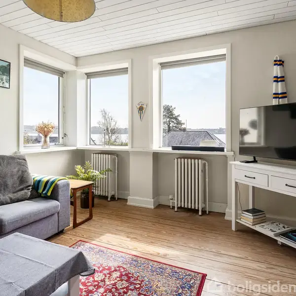 Stue med grå sofa til venstre, lille sofabord med vase, vinduer med udsigt over hustage, tv på skænk til højre, malerier på væggen, og et farverigt tæppe på trægulvet.