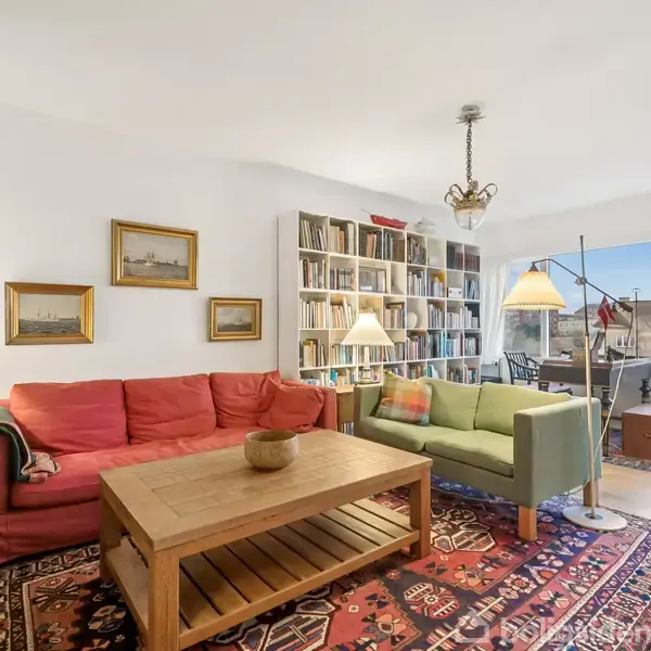 Rummet har to sofaer og et træbord. Sofaerne står på et orientalsk tæppe, omgivet af bogreoler og malerier. Store vinduer slipper lys ind, hvilket skaber en lys atmosfære.