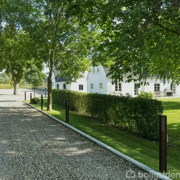 Grusvej fører op til en hvid, landlig bygning omgivet af græs og træer. Bygningen er til højre, mens vejen er indrammet af grønne hække og skyggefulde træer.