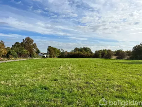 Græsplæne strækker sig ud i det åbne landskab med små træer og buske omkring. En vej løber langs venstre side under en let overskyet himmel.