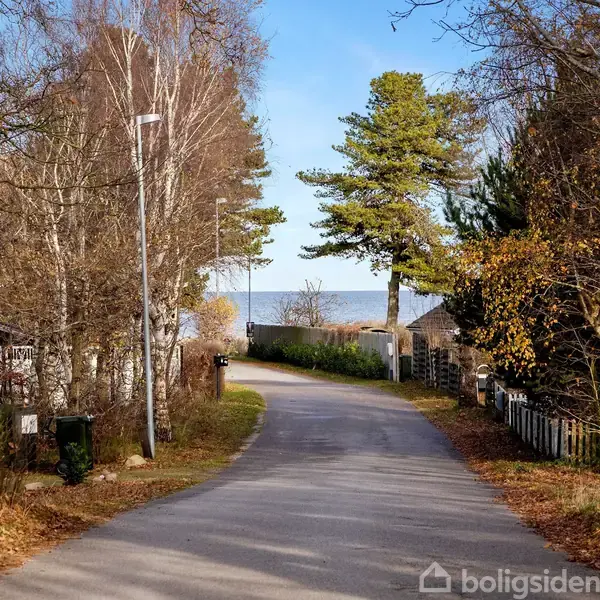 En snoet vej fører gennem en skovklædt område med træer på begge sider mod en himmel med udsigt over vandet. Det er efterår med gyldent løv omkring.