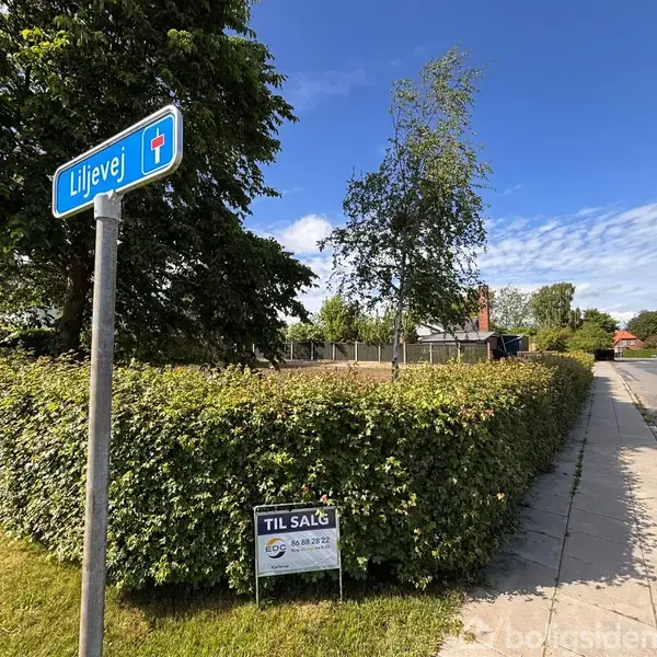 Vejskilt markerer "Liljevej" ved hjørnet af en hæk. En til salg-skilt viser kontaktinformation med teksten "TIL SALG" og "20 50 20 52". Fortov og græs omringer området.