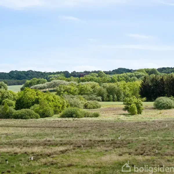 Grønne marker strækker sig over et kuperet landskab med forskellige træer i forgrunden under en klar blå himmel.