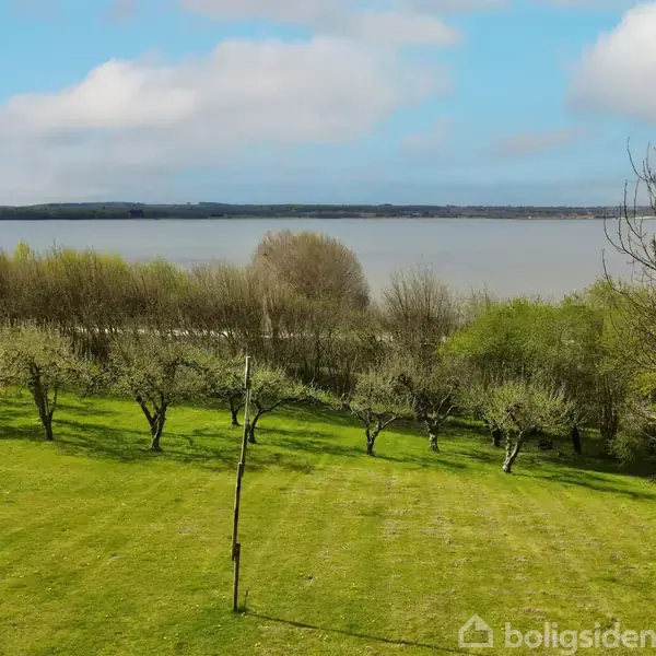 En grøn græsplæne med spredte træer strækker sig mod en bred flod, omgivet af skove. En blå himmel med få skyer danner baggrunden.