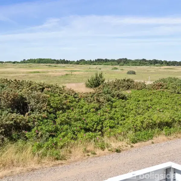 Grønne buske strækker sig over et stort, åbent landskab under en blå himmel. En grusvej løber langs forgrunden, omgivet af marker og skov i baggrunden.
