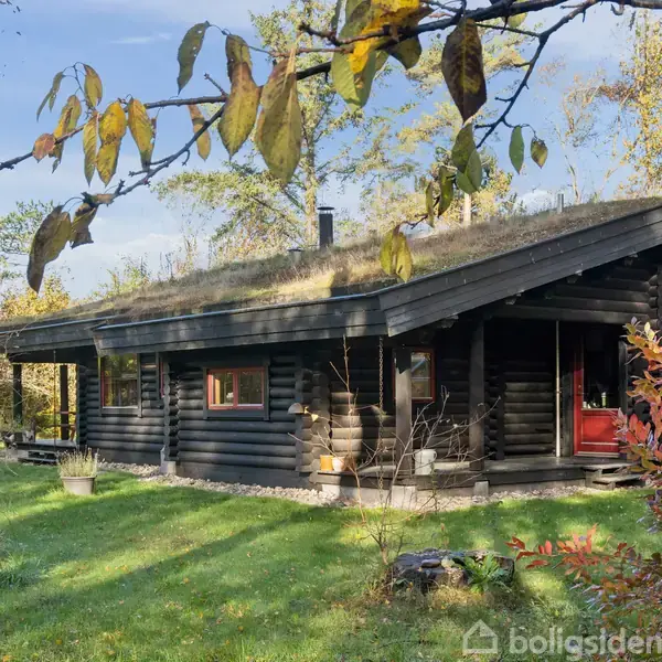 Et træhus med græs på taget står blandt træer med efterårsblade. Græs og buske omgiver huset, der har en rød dør og ligger i en skovklædt have.