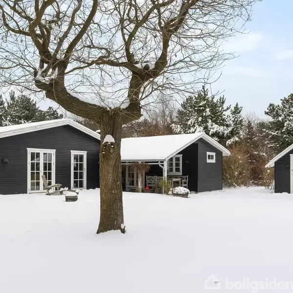 Mørkeblå hus beliggende i snedækket have med træ i forgrunden. To bygninger ses med store vinduer, omgivet af sneklædte træer.