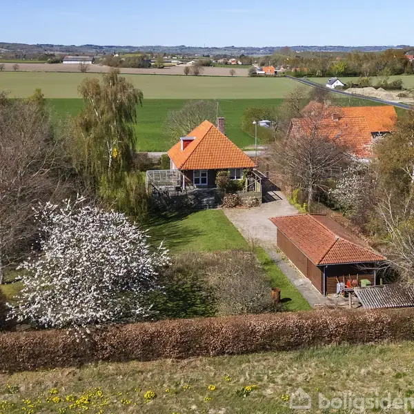 Et rødt tegltagshus med en stor have og hvide blomstrende træer omkranset af hegn beliggende i et landligt område med marker og flere naboer i nærheden.