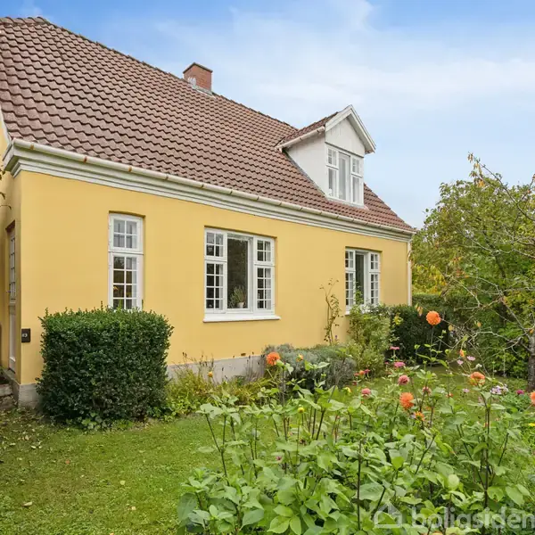 Et lyst kontor med hvide trægulve og grå vægge indeholder en reol fyldt med mapper og bøger. På væggen hænger mange indrammede billeder og diplomer. En plante står på et bord.