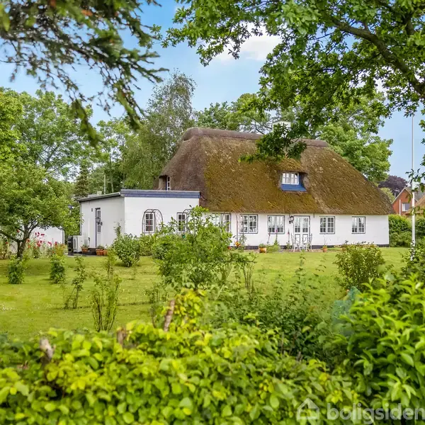 Græsplæne med et stort, bladløst træ, omgivet af mindre buske og blomstrende påskeliljer i forgrunden, og en rolig hest på en mark i baggrunden under en klar blå himmel.