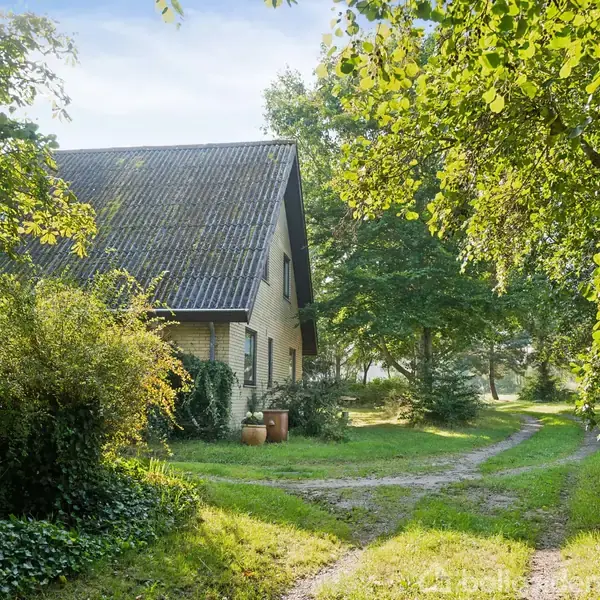 Et gult hus med skråt tag står blandt frodige grønne træer. En grusvej fører forbi huset, omgivet af et græsklædt område og buske.