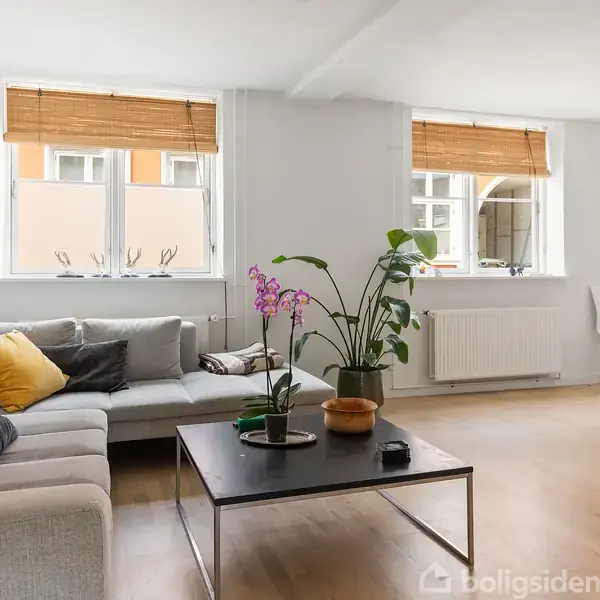 En moderne stue med en grå hjørnesofa fyldt med farverige puder. Et sofabord har planter og pyntegenstande. To vinduer med persienner giver lys til rummet. En enkelt stol står ved væggen.