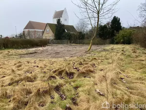 En bar mark med et ensomt træ i forgrunden, der står på en græsplæne. Baggrunden viser en landsbykirke omgivet af buske og huse.