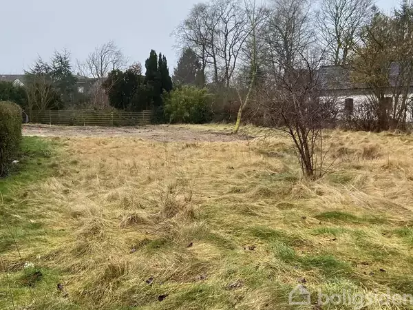 Græsområde med lidt vildtvoksende planter står urørt. Omkranset af træer og buske skaber en naturpræget, lidt overgroet haveomgivelse. Udenfor ses en grusbelagt sti nær skoven.