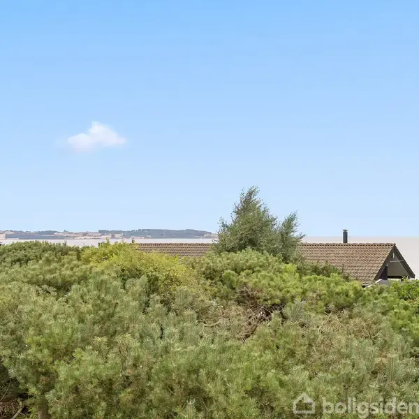 Et hustag stikker op bag grønne træer og buske, med en klar blå himmel i baggrunden. Indrammet af naturen, kan man ane et landskab i det fjerne.