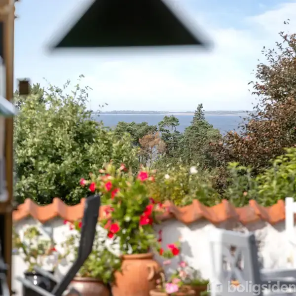 Blomster i krukker står i en gårdhave med udsigt til en skov og en fjord i baggrunden. Møbler og grønne planter omkranser området.
