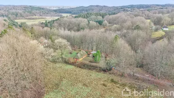 Hus omgivet af træer set fra luften. Det ligger i en skovrig dal med bakker i baggrunden. Der er et tæppe af afbøjede trætoppe og åbne marker rundt omkring.