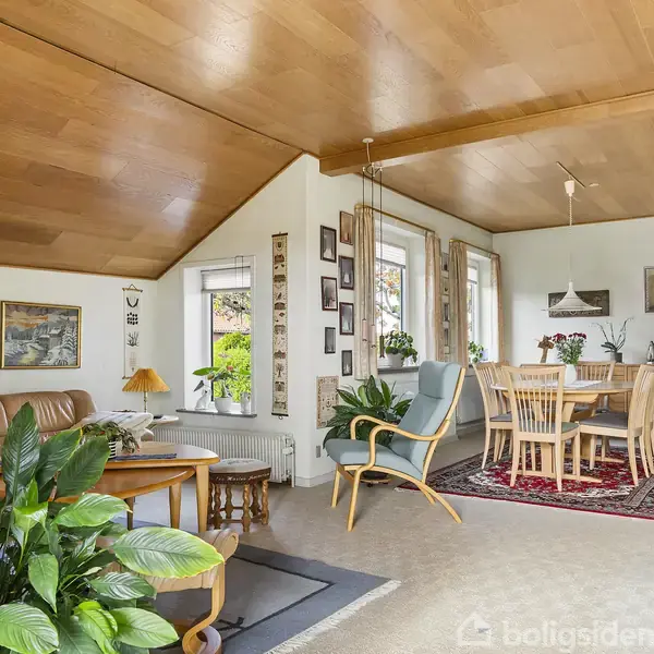 Stue med lædersofa og lænestole, bord med planter i forgrunden, spisebord med stole på tæppe, træloft og kunst på væggene, lyse vægge og store vinduer giver et lyst rum.