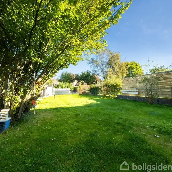 Græsplæne strækker sig gennem en solrig have, omgivet af buske og træer til venstre, med et hegn til højre og en klar blå himmel ovenover.