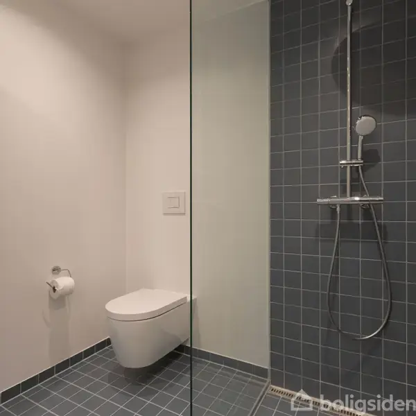 Toilet hænger på væggen ved siden af et toiletpapirholder uden aktivitet, omgivet af fliser i et moderne badeværelse med bruserområde adskilt af glasvæg.