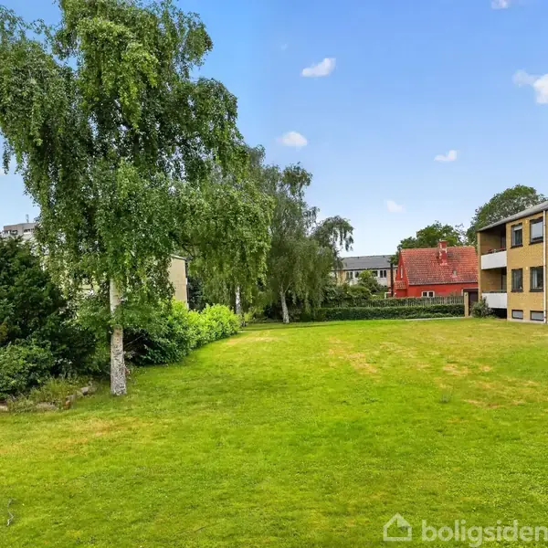 Træer og græsplæne står i ro på en grøn fællesareal mellem boligblokke og en rød bygning i baggrunden under en blå himmel med få skyer.