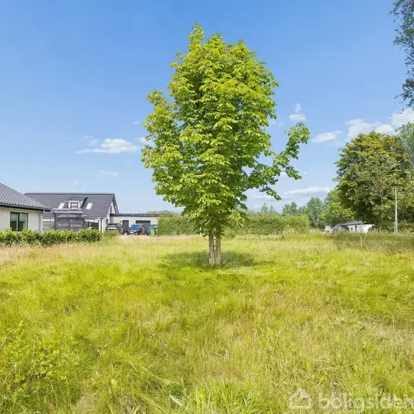 En ensom træ står på en græsplæne, omgivet af huse og grøntområde. Himlen er blå med få skyer, skaber en fredelig atmosfære.