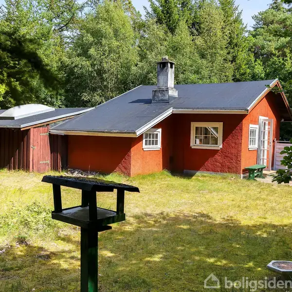 Et rødt træhus står stille omgivet af frodig skov, med en fuglefoderplads i forgrunden og to vinduer synlige. Græsset omkring er let vissent.