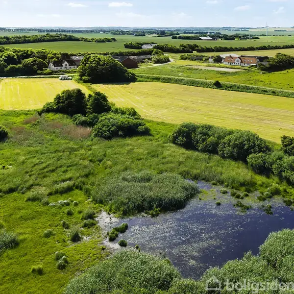 En dam er omgivet af frodige, grønne marker og små skove i et åbent, landligt landskab. Enkelte huse kan ses i horisonten under en klar blå himmel.