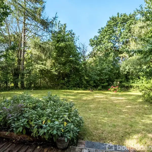 En græsklædt have strækker sig ud, omgivet af høje træer og buske, under en klar blå himmel. I forgrunden er der en træterrasse med planter.
