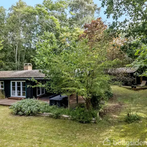 Et mørkt sommerhus står omgivet af tætte, grønne træer. Huset har en træterrasse og græsplæner omkring, hvilket skaber en fredfyldt, naturlig atmosfære.