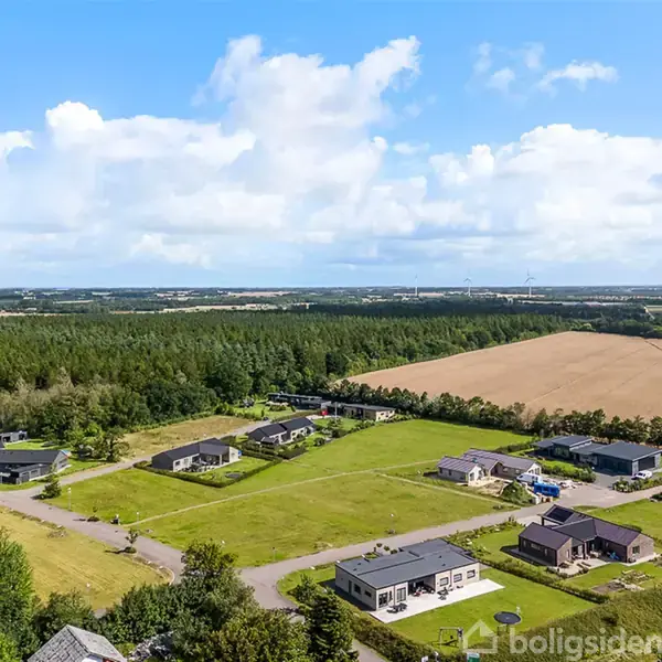 Luftfoto af et villakvarter med moderne huse omgivet af grønne græsplæner og marker. En række træer adskiller boligområdet fra de åbne marker under en skyfyldt blå himmel.