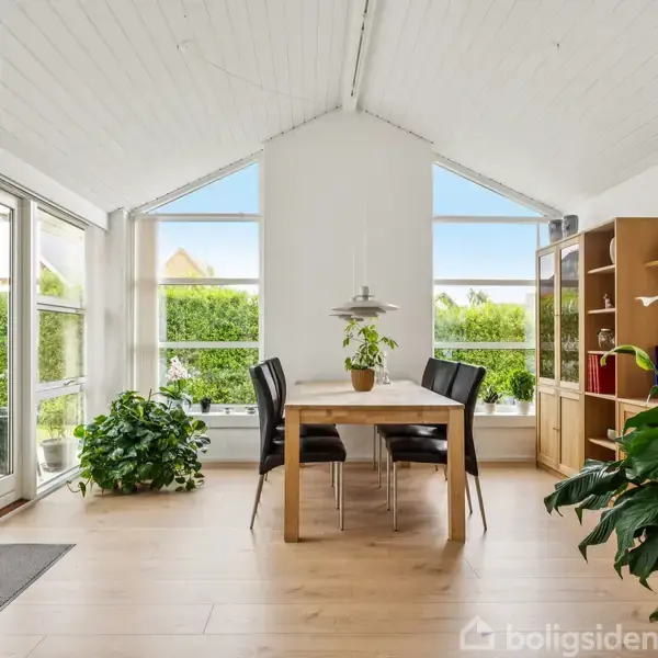 Et spisebord med fire stole står i et lyst rum. En stor plante er placeret på bordet. Rummet har store vinduer og planter omkring, hvilket tilføjer en hyggelig atmosfære.