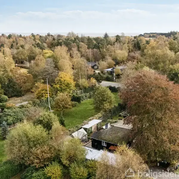 Hus i skovområde omgivet af efterårsfarvede træer, beliggende ved en vej. Flere små bygninger spredt i landskabet. Atmosfæren er rolig og landlig med frodig vegetation.