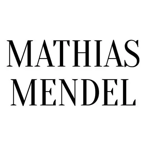 Ejendomsmæglerfirmaet Mathias Mendel